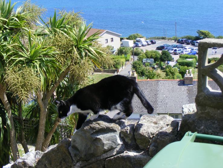 Tuppence, who shares her name with none of my characters (though was named after one of Agatha Christie's)