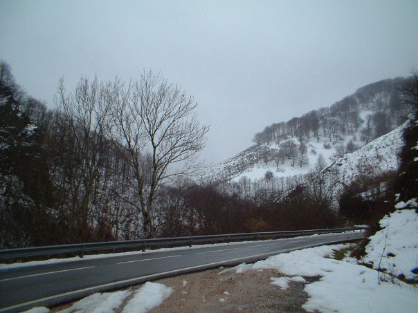 Nice place for a picnic