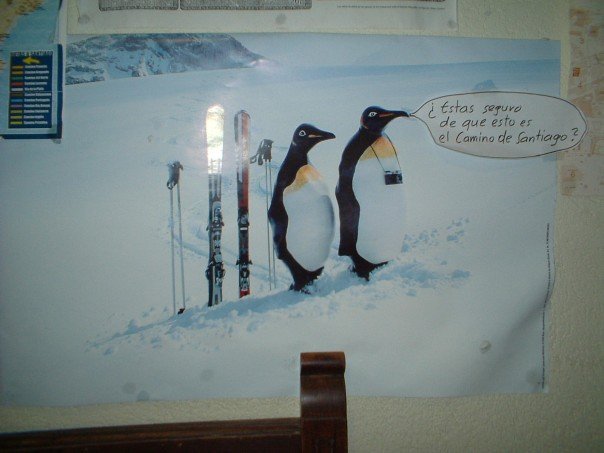 Are you sure that this is the Camino de Santiago?