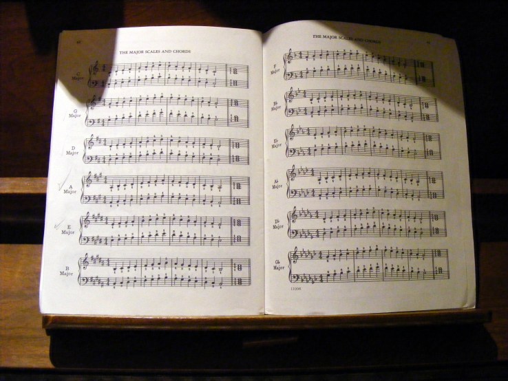 Scales, geddit? ... oh, never mind