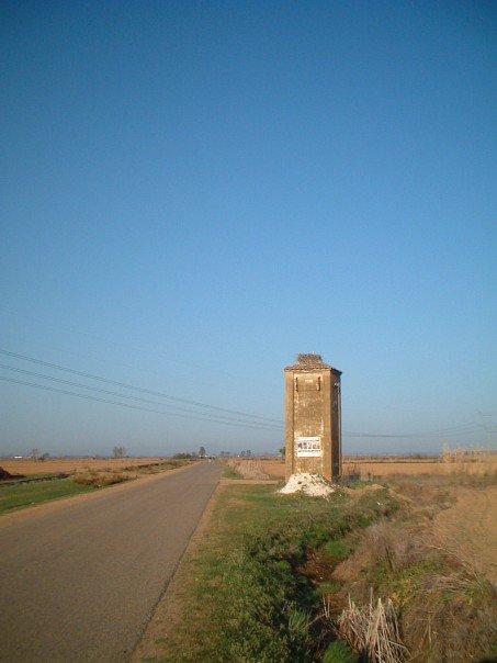 The meseta