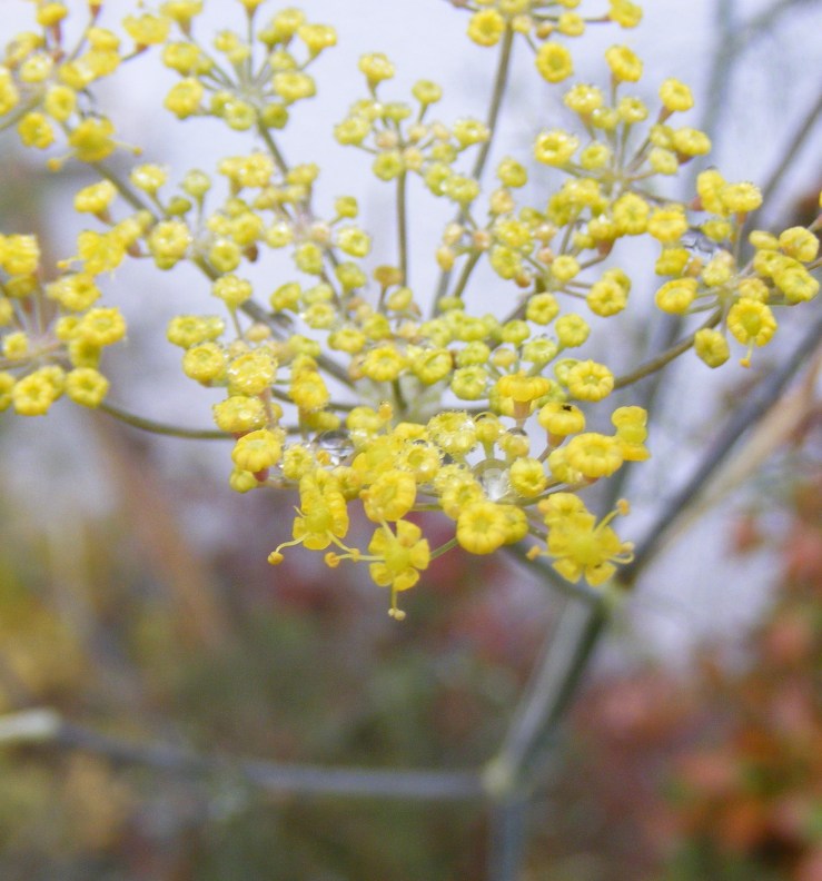 No particular reason for this photo, except that I took it in July 2013