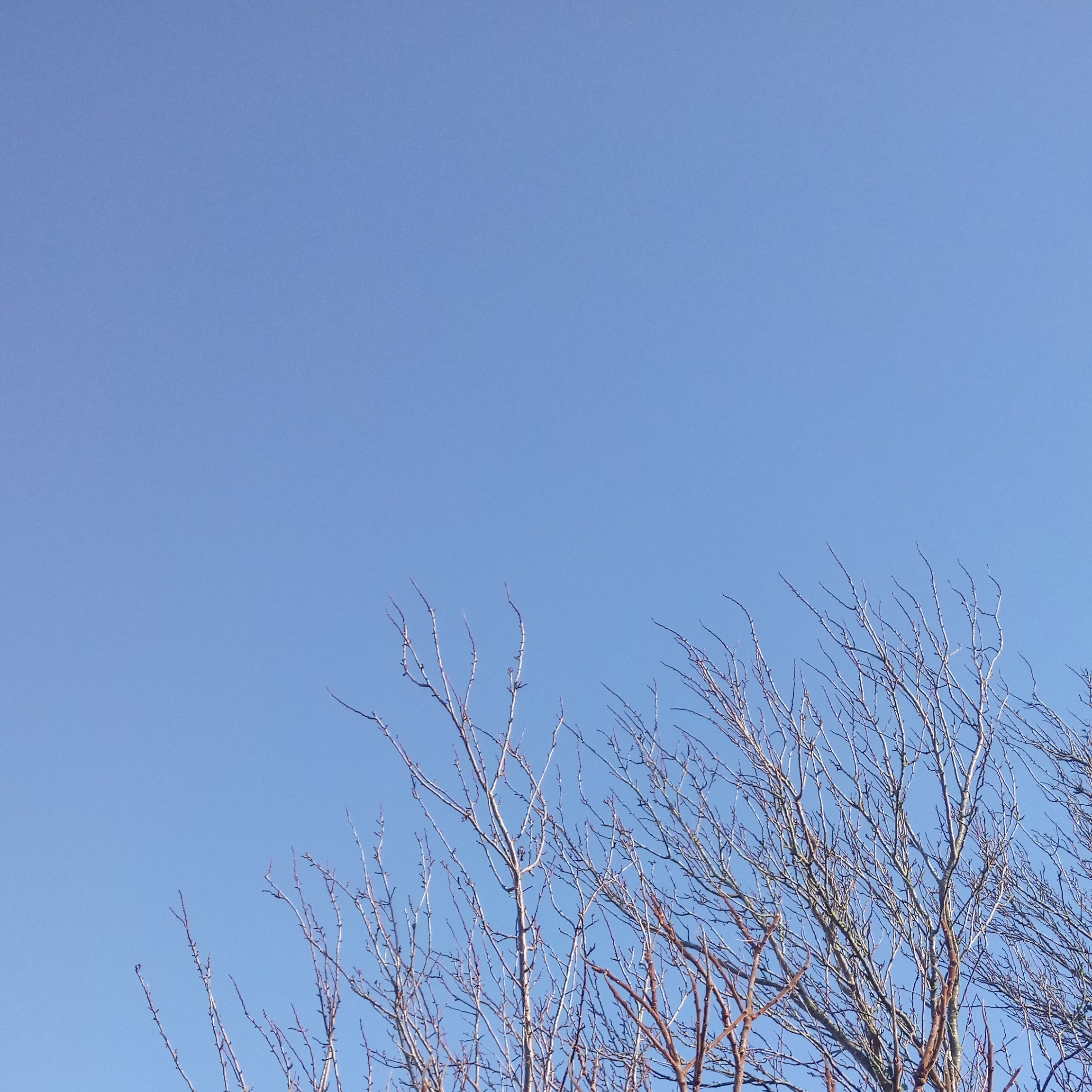 IMG_20181211_111221_066