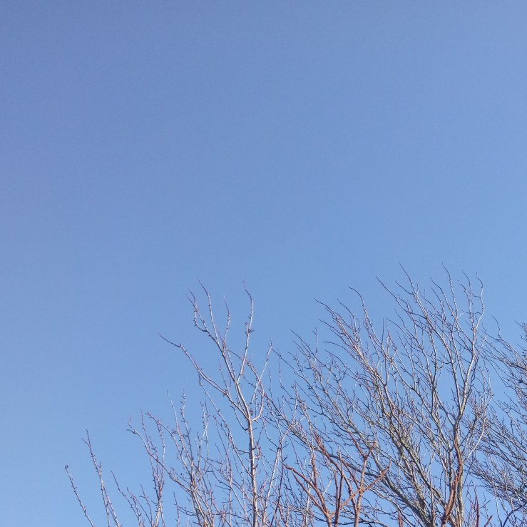 IMG_20181211_111221_066