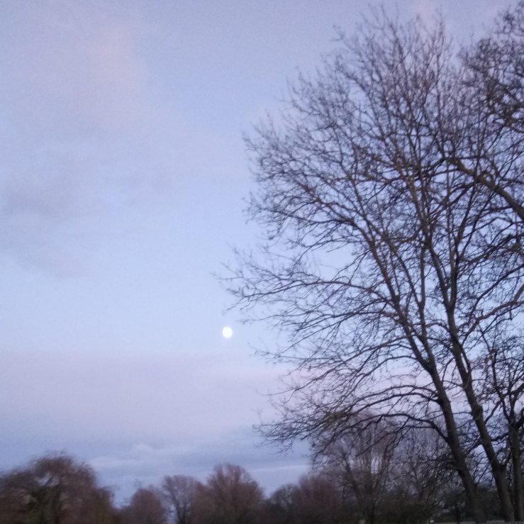 IMG_20191208_184805_882