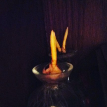 IMG_20191223_203340_242