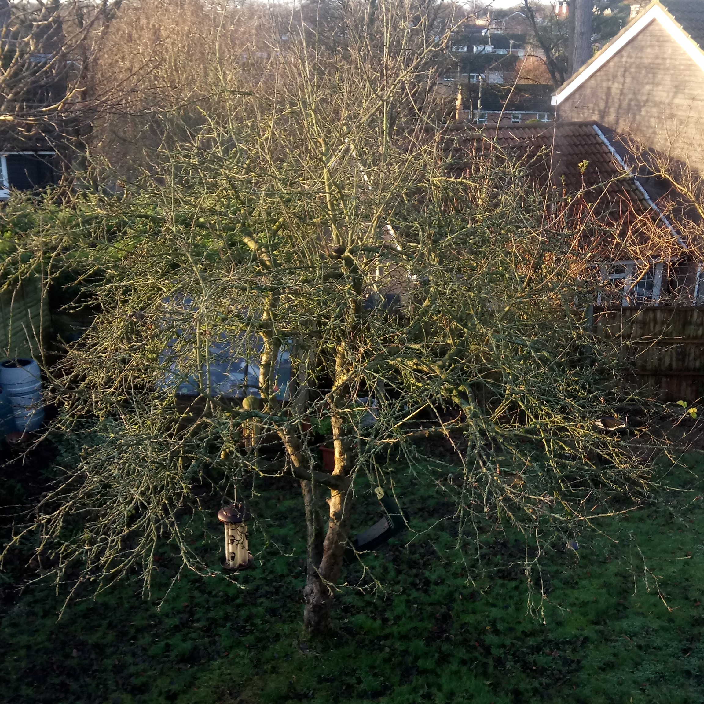 IMG_20191225_090945_031