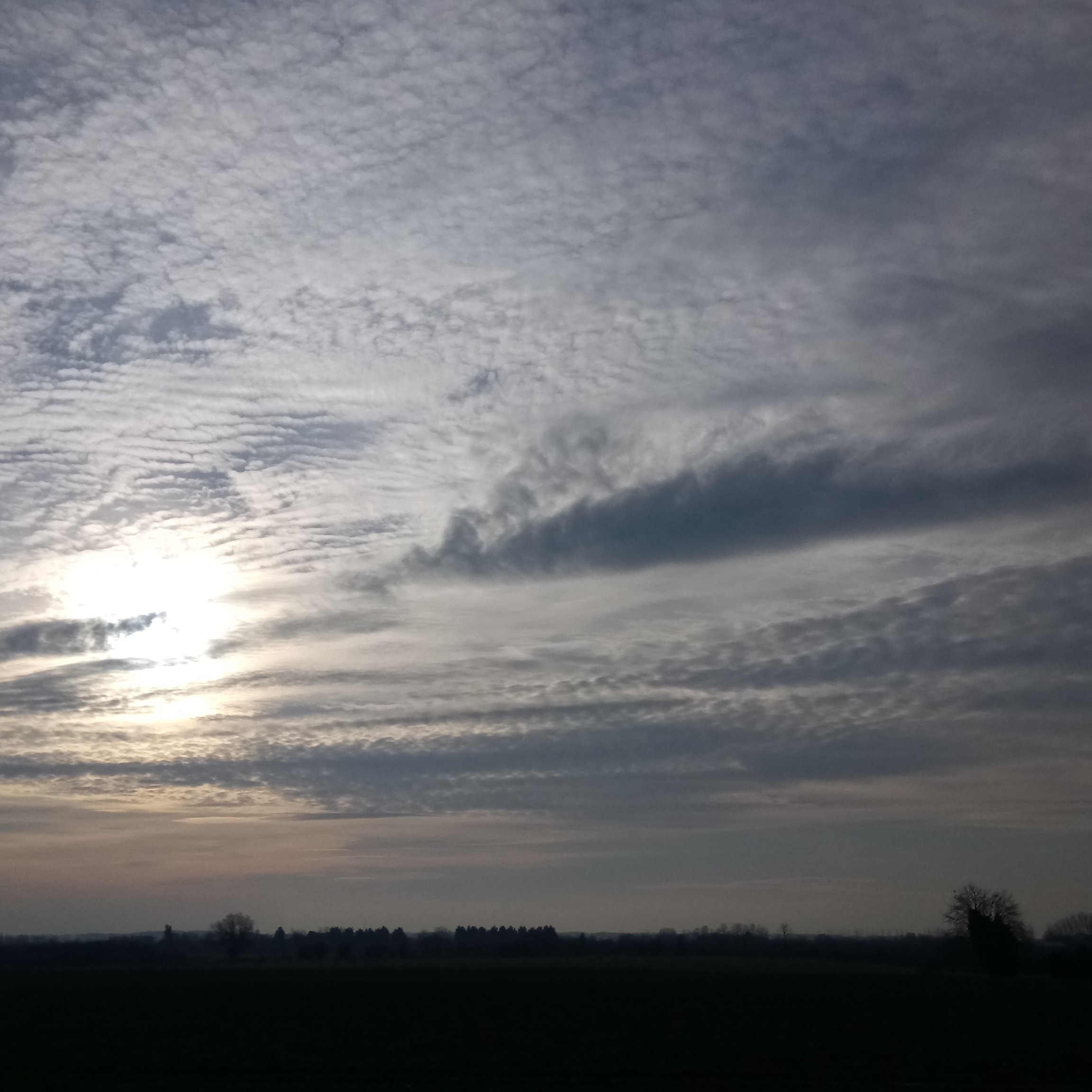 IMG_20191229_171550_407