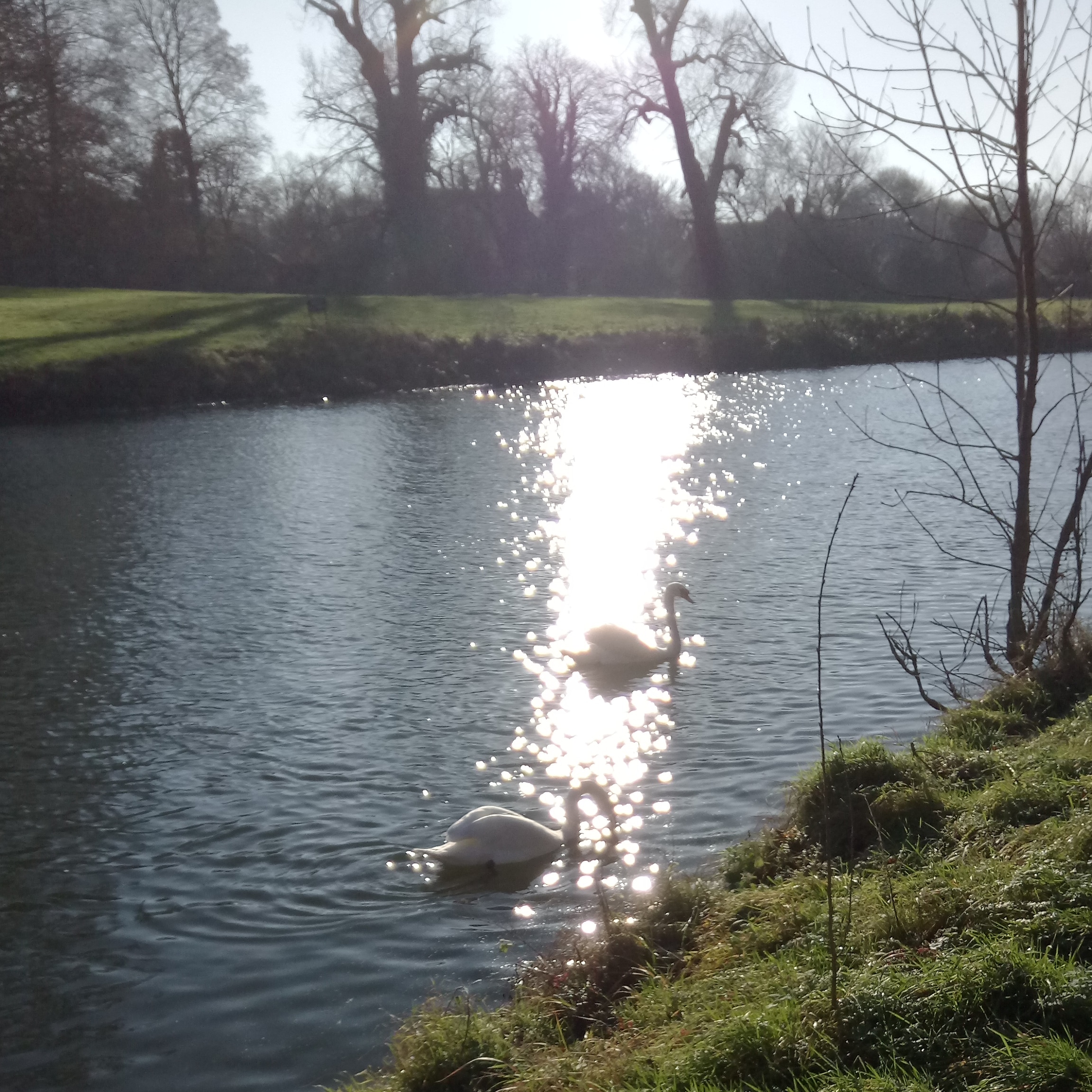 IMG_20191230_171555_851