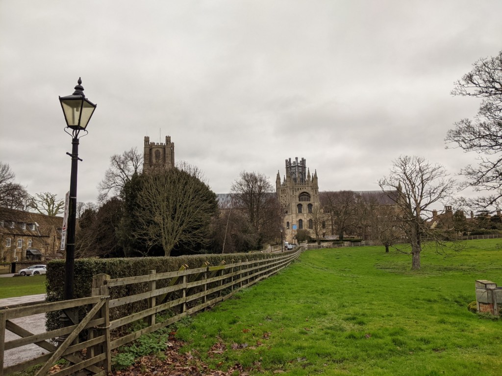 Ely cathedral, seen from the south side, with the west tower partly hidden by a tree, but with a good view of the lantern across a green field