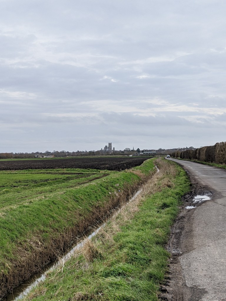 Deep grass-edged ditch alongside a single-track road running along flat arable farmland. Cathedral tower on the horizon.