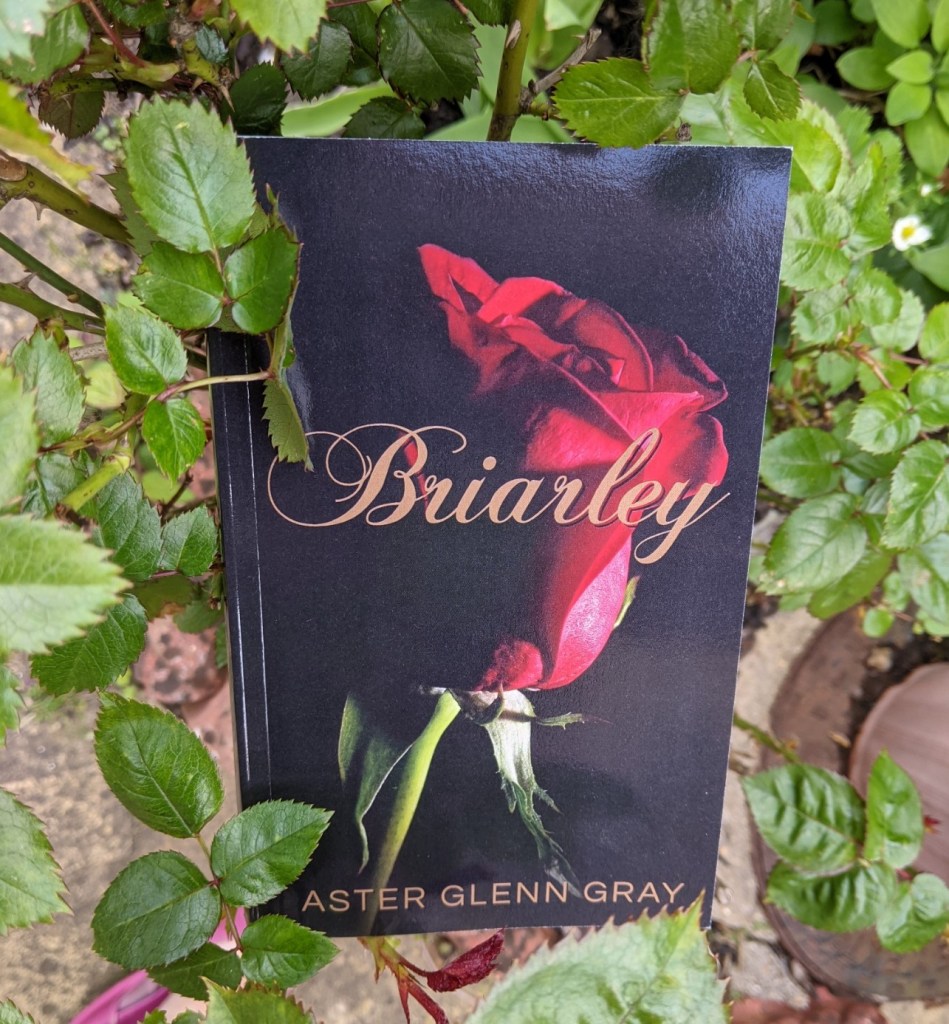 Paperback copy of 'Briarley' by Aster Glenn Gray, in a rosebush.