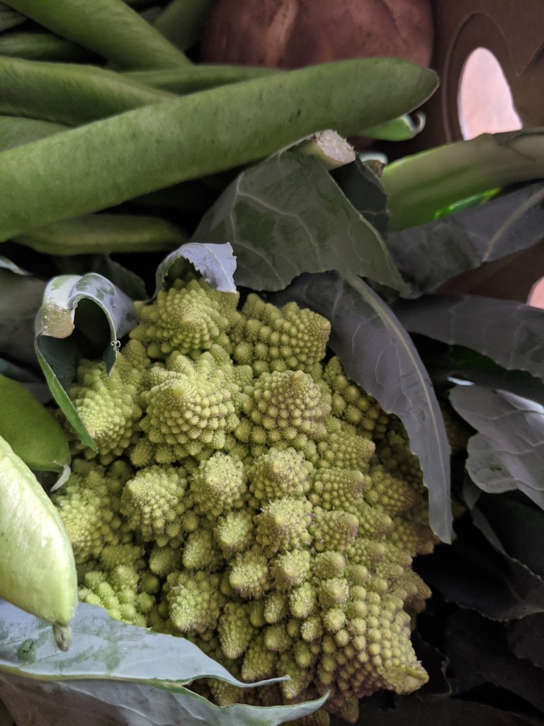 close-up of a romanesco cauliflower