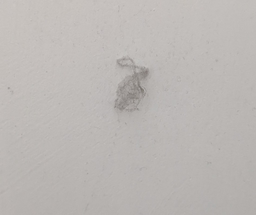 A clump of dust and cobwebs that has arranged itself into the shape of a rabbit