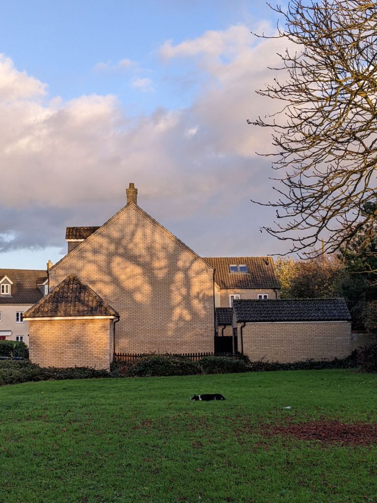 A large bare chestnut tree casts a huge shadow across the entire gable end wall of a large house. In the foreground, a dog crouches on the grass.