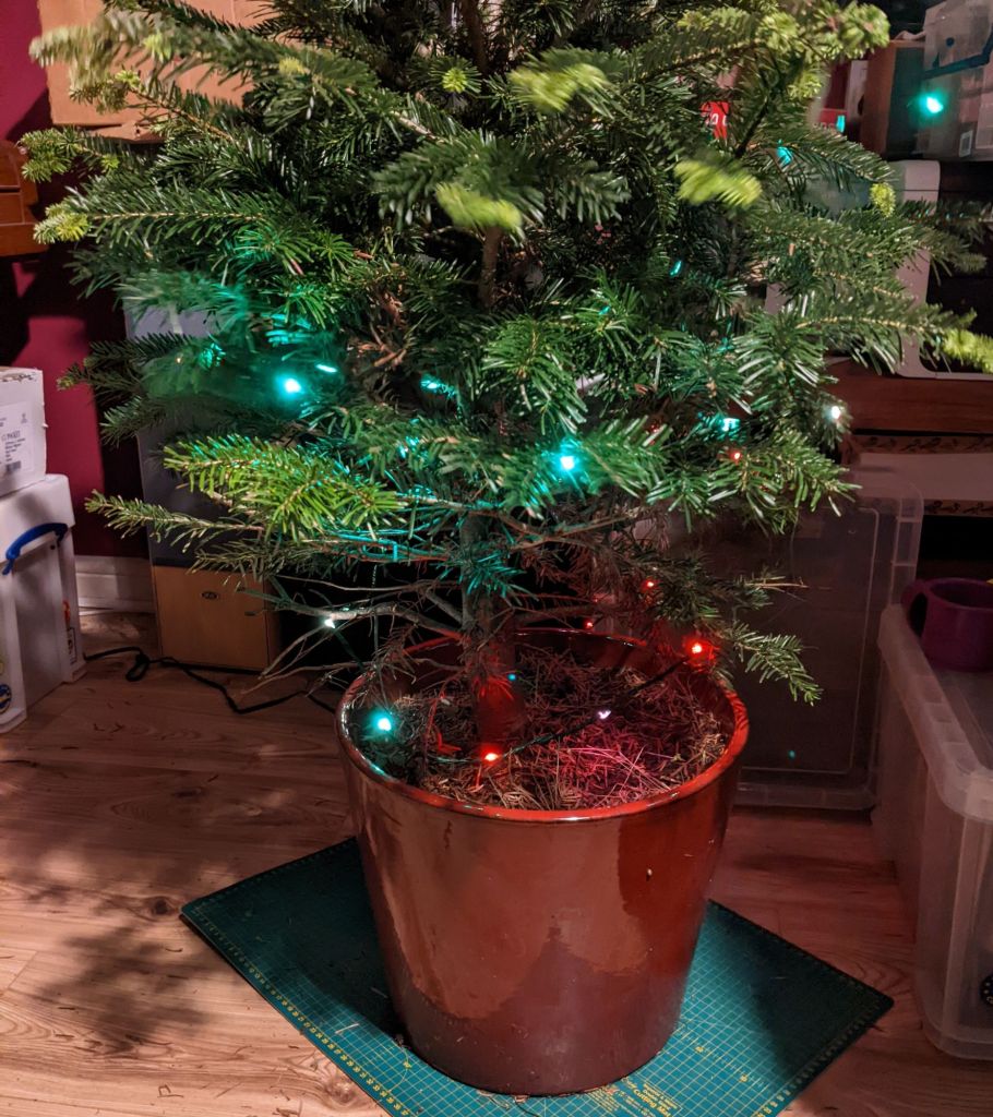 A Christmas tree from which the red and green fairy lights are being removed 