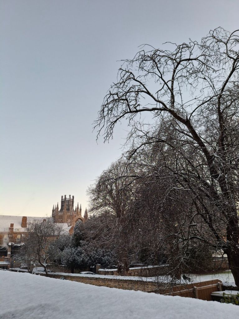 Bare branches and the octagon of Ely cathedral are dusted with snow 
