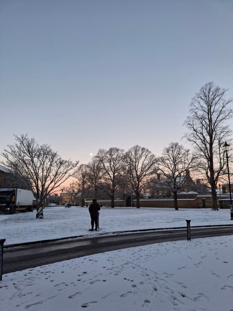Bare trees surround a snowy green. One man stands at the near edge. A just past full moon hangs just over thd top of the trees