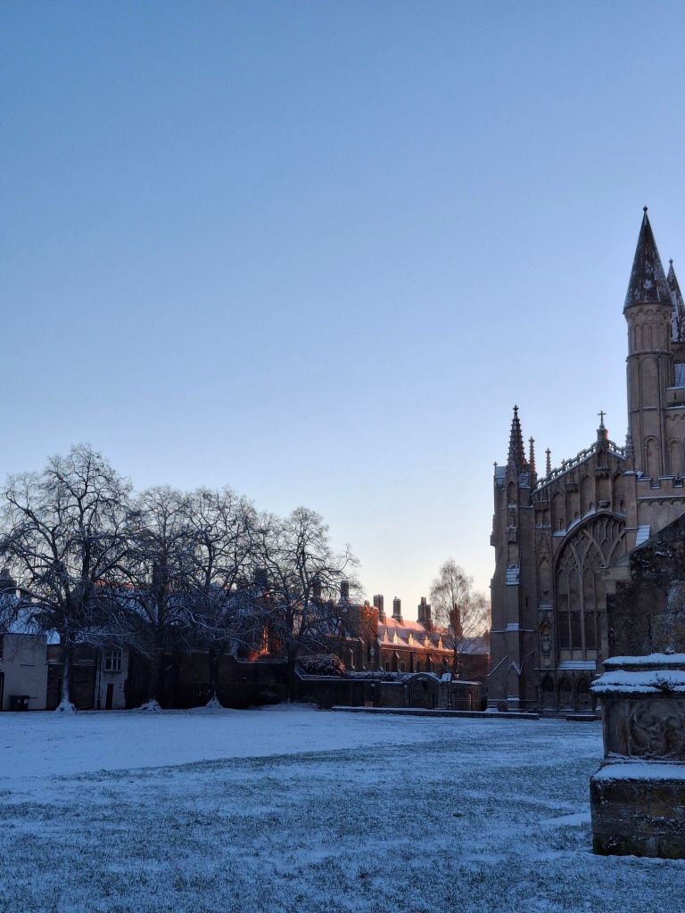 Cathedral and bare trees on a snowy day with one stretch of roofs illuminated by pinkish sunlight