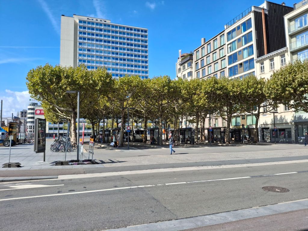 In a modern city square, trees in full leaf provide shade for a row of bus stands