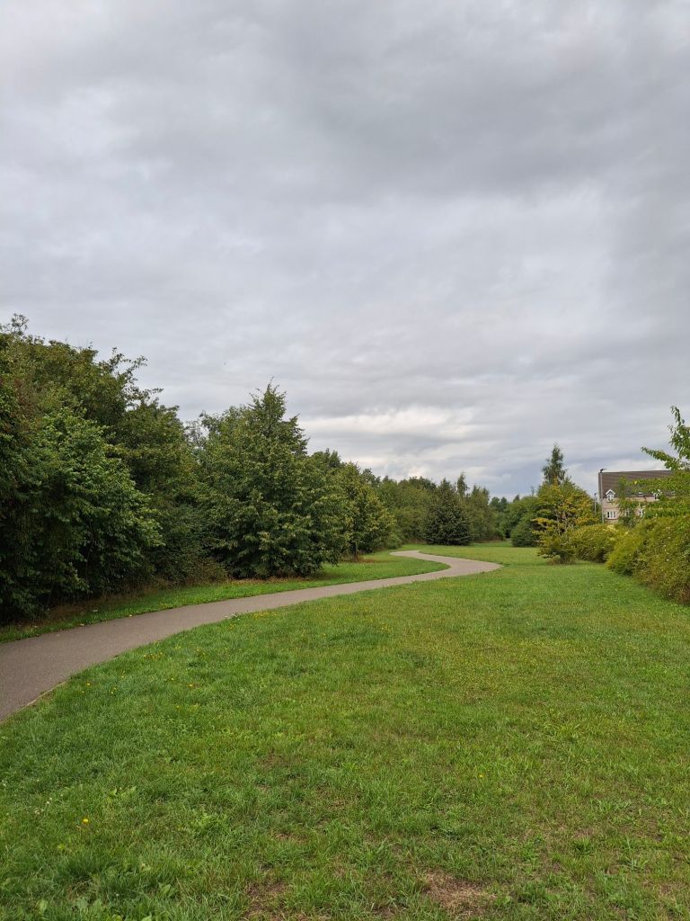Under a sky covered in light grey cloud, a path winds between grass and tall hedges